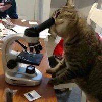 Chloe Jean (@chloejean_bm) 's Twitter Profile