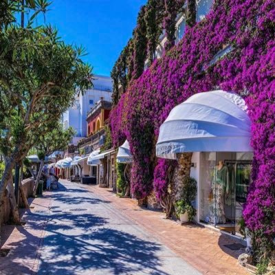 finsplain's profile picture. 