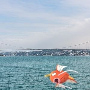 benkirmizibalik's profile picture. Ben bir balığım