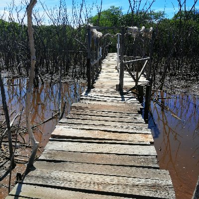 RayWick69's profile picture. 