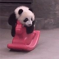 PandaqueNFT (@pandaquenft) 's Twitter Profile