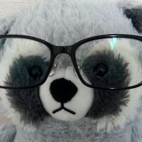 藤野 (@ihave_n0_id3a) 's Twitter Profile Photo