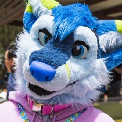 Blue folf! 🐺🦊 | 20 | Sydney 🇦🇺 | Videographer | Cars | Gay 🏳️‍🌈 | He/Him | Property of @wanganwoofer 💙💜 |