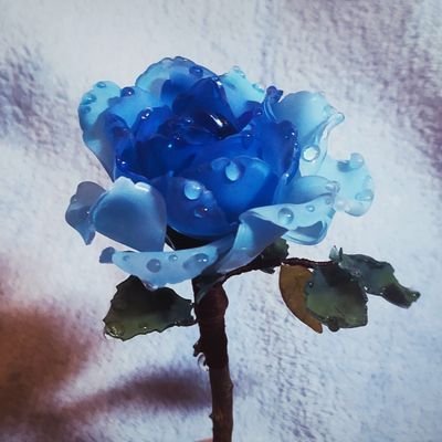 Neonさんのプロフィール画像