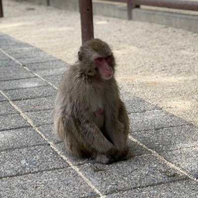 2021.10-🇸🇬/エンジニア/駐在2カ国目🇮🇩/サッカー楽しみたい⚽️/ゴルフ練習中🏌️‍♂️/クラフトビール🍻/シンガポール情報収集用に✨無言フォロー失礼します🙇‍♂️