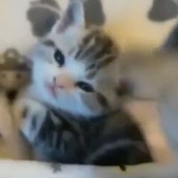 ðãšã³ããã¿ððŸðâŸâŸ (@vanityberry) 's Twitter Profile Photo ðãšã³ããã¿ððŸðâŸâŸ (@vanityberry) 's Twitter Profile Photo