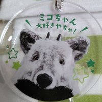 micolo (@3291ahiruco) 's Twitter Profile Photo micolo (@3291ahiruco) 's Twitter Profile Photo