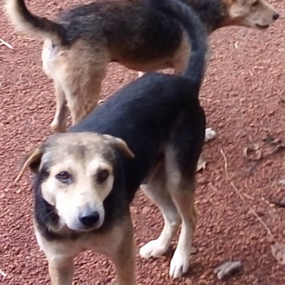 007xBass's profile picture. ไม่มี(อาจจะ)