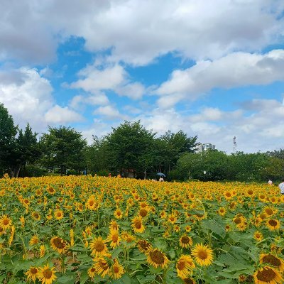 june902159's profile picture. https://t.co/O3n2vYrFCt
https://t.co/5vSQBlMpH8