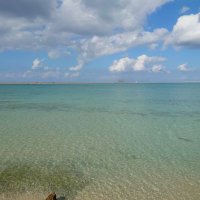 アストロ1976 (@jteo1kinnswuxah) 's Twitter Profile