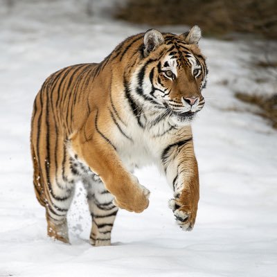 crypto_bean90's profile picture. Crypto Enthusiast #Hodler Strategic Investment