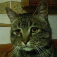 jfefepw (@khattab_wl) 's Twitter Profile