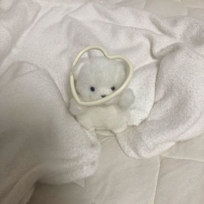 asdfghjklmvxzd's profile picture. 