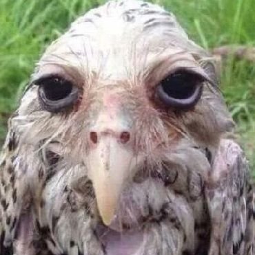 sojwbo's profile picture. ..