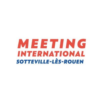 Meeting Sotteville Profile