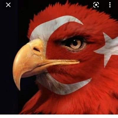 bartinli_biri's profile picture. University of Life