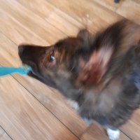 Delamarre Claire🇨🇵🇪🇺🇺🇦 (@delamarreclair1) 's Twitter Profile Photo