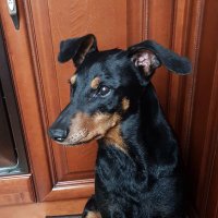 Black Porter (@katarzy84274769) 's Twitter Profile