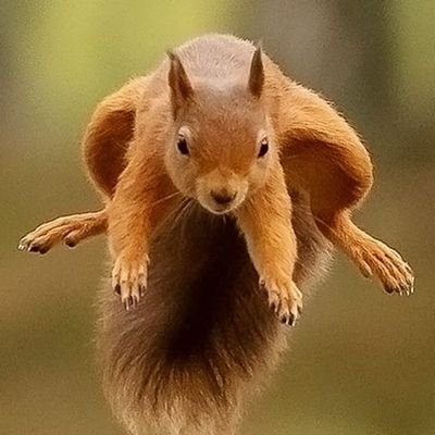 maddylcc's profile picture. Political agnostic, anti-dog whistle populism, EU imperfections, not isolationism. SAFC, WorcsCCC, HullKR, WorcsWarriors (RIP). 

Smell the roses while you can.