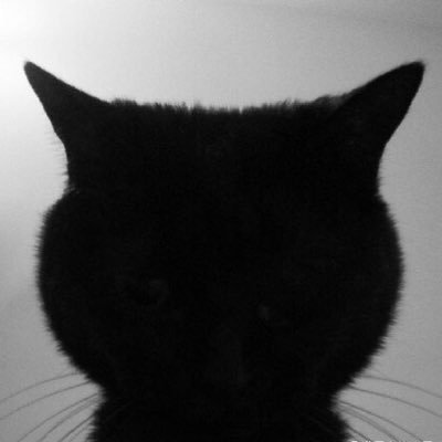 DSSNTb's profile picture. 