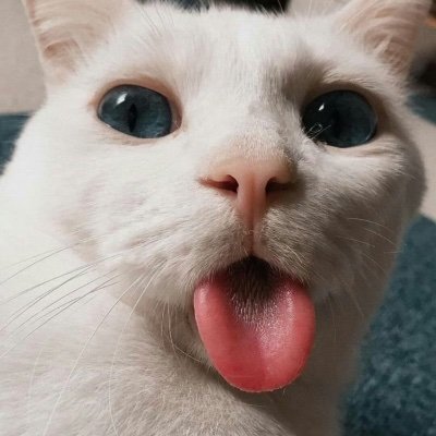 coffeecaine17's profile picture. 