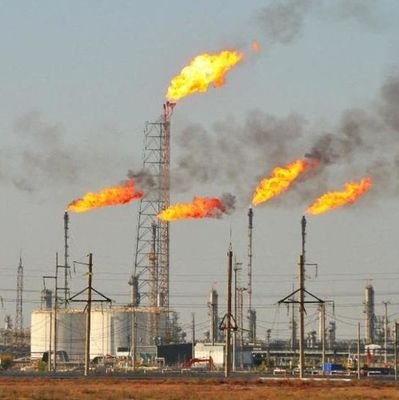 Rero101010's profile picture. 