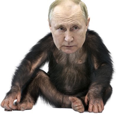 Putinisgarbage Profile Picture