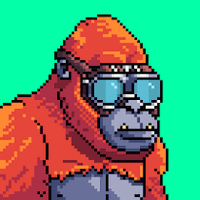 The Party God (@quinnbill4) 's Twitter Profile
