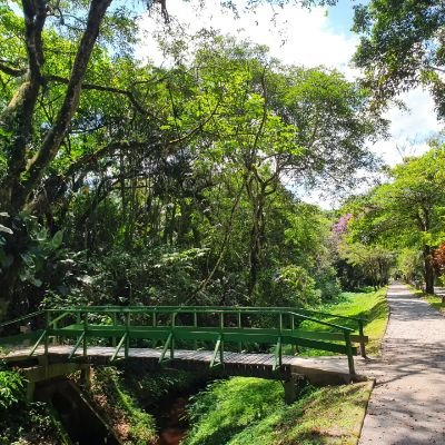 perspectivas21's profile picture. Economista com mestrado em Estrategia e Planejamento pela USP. Empresário, conselheiro e fundador de ONGs, militante pela educação.