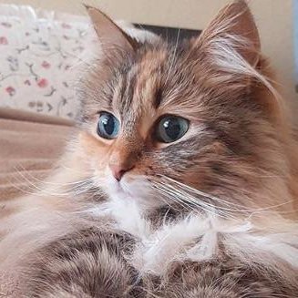 ByungJo4's profile picture. 지구 자연환경