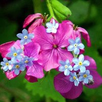 Mariam Wahba (@mariamw64263712) 's Twitter Profile