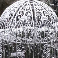 O.O. (@odelejacobse) 's Twitter Profile