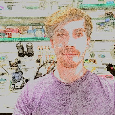 ChemaBuil's profile picture. Biólogo. Neurocientífico. Investigador predoctoral @NeuroAlc . Divulgación Científica en @adcalicante y @pintofscienceES