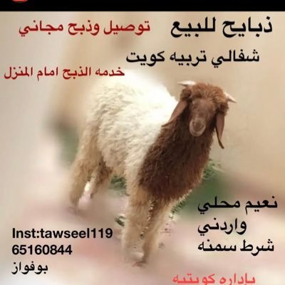 توصيل ذبايح 65160844