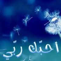 عبد النعيم(@abdllah41028901) 's Twitter Profile Photo