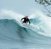 brianfor44's profile picture. (he/him), Front End Engineer