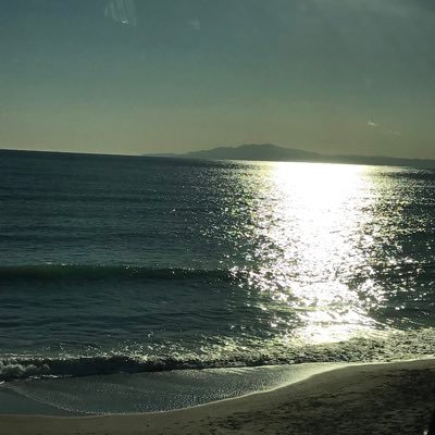 Mayuko44999634's profile picture. 