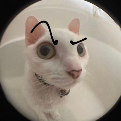 AlisiaS91940662's profile picture. Just another Zombie.