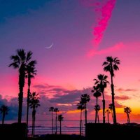 burnout (@burnoutmonk) 's Twitter Profile