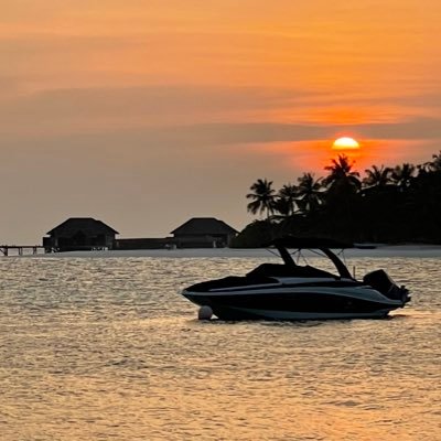 nikitium's profile picture. Searching for order within the chaos