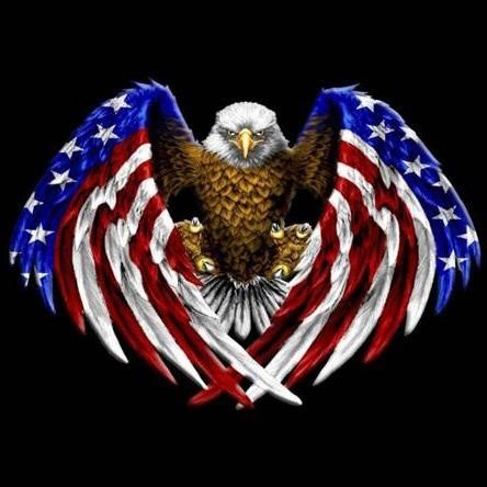 ray_bassman's profile picture. Retired Captain with the Aurora Fire Department. Avid fishernan. Married with 3 kids and 2 grandchildren. 2A all the way.