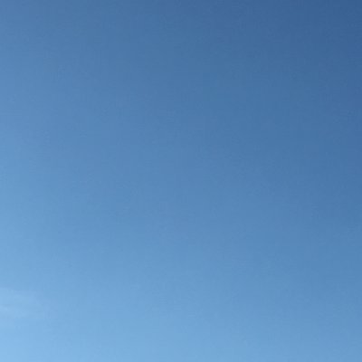 bealrightnick's profile picture. .