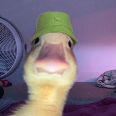 ShimaaRabeay's profile picture. وَمَن يَتَّقِ اللَّهَ يَجْعَل لَّهُ مَخْرَجًا وَيَرْزُقْهُ مِنْ حَيْثُ لَا يَحْتَسِبُ 

ғᴀᴄᴜʟᴛʏ ᴏғ ᴄᴏᴍᴘᴜᴛᴇʀ ᴀɴᴅ ɪɴғᴏʀᴍᴀᴛɪᴏɴ💻