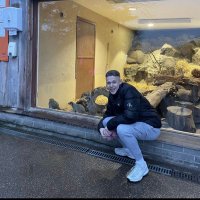 Callum (@doyla07) 's Twitter Profile