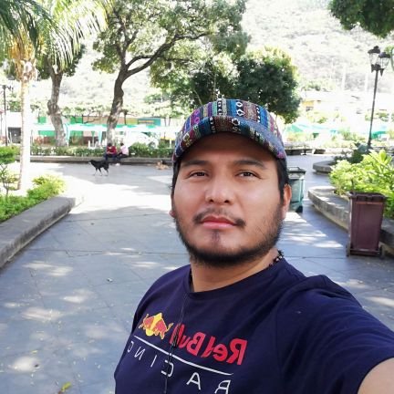 Skilled .Net| Python stack | Melomaniac | F1 fan.
Having two lives. 😎
By day, a Software Engineer at @Globant and by night, a relentless pursuer of my dreams.