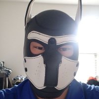 PupPanda (@puppanda2) 's Twitter Profile