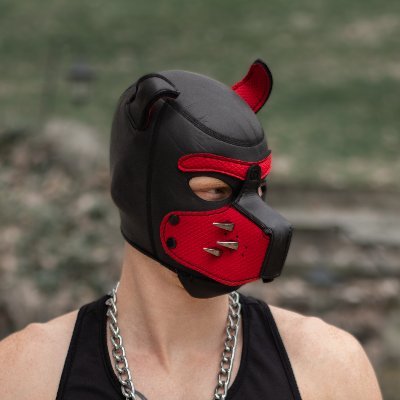 Gay · Pup · Leatherman · Twitch Streamer · Fitness Addict · Mr. Leather Akron ‘23 · Collared · He/Him · Insta: @pup_rusty_nash · 🔞