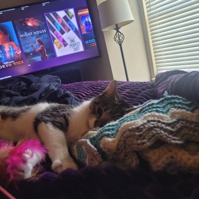 HallSaladin's profile picture. 