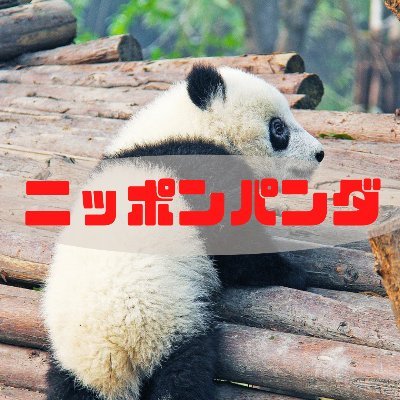 パンダに関する、あらゆる情報を発信するブログ。管理人は日本パンダ保護協会会員。上野動物園年間パスポート所有。