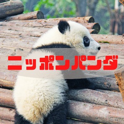 nipponpandablog Profile Picture